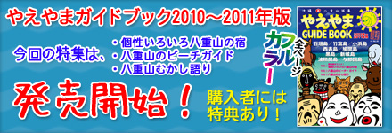 �䤨��ޥ����ɥ֥å�2010��2011ǯ�� �����ͽ��� ����̵���ۤ���ŵ��2����