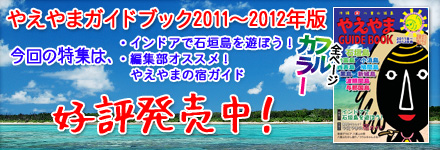 �䤨��ޥ����ɥ֥å� 2011��2012ǯ��