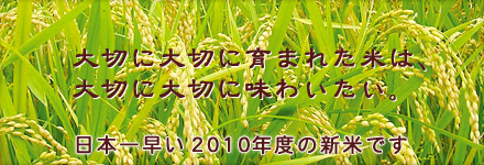 2010ǯ�ٿ��ơ�����������г��绺�ҤȤ�ܤ졡2kg 