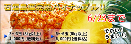 �г��绺���ϥѥ��ʥåץ�