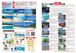 八重山観光の注意事項